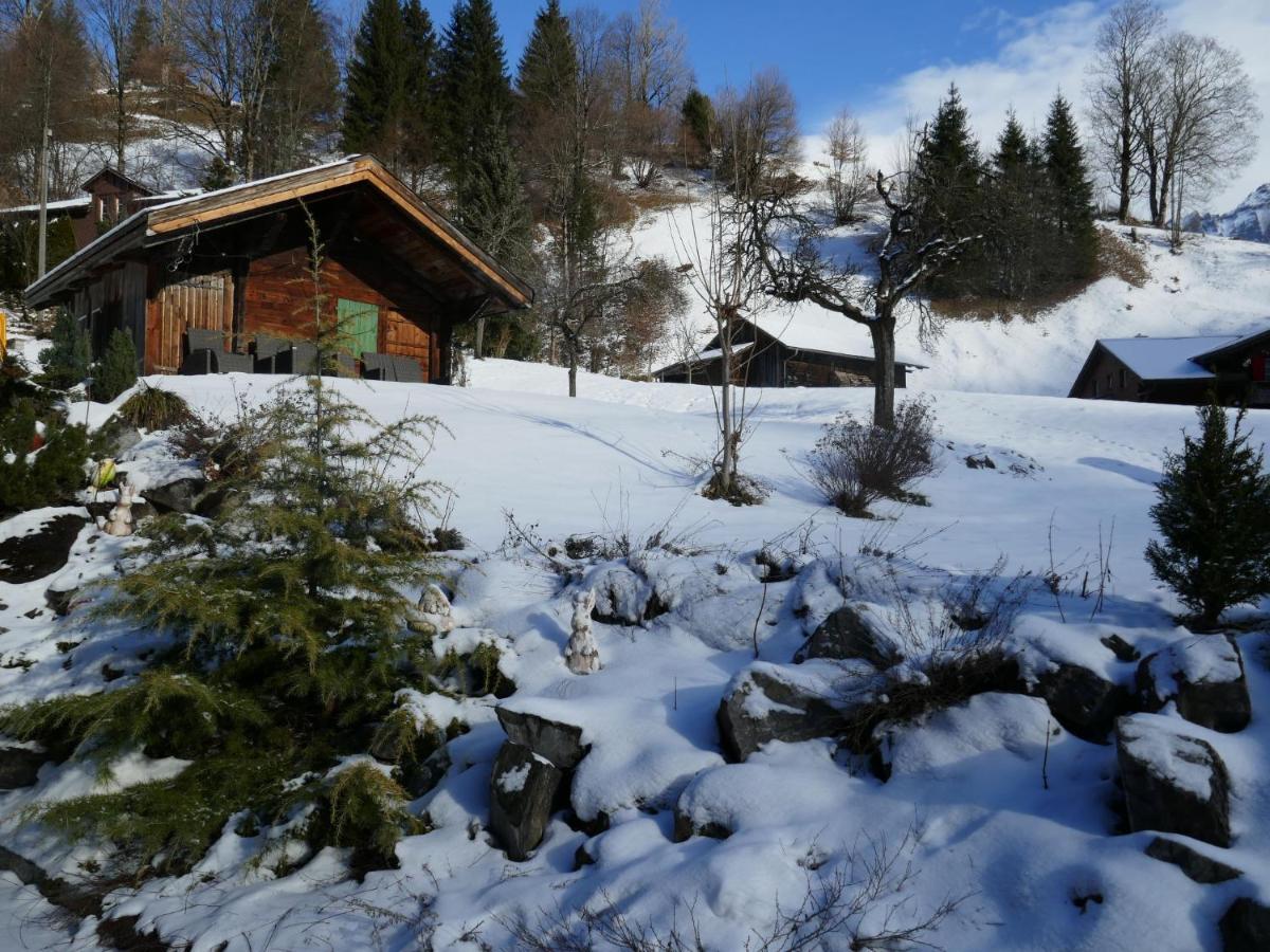अपार्टमेंट Schwendihus-6 By Interhome