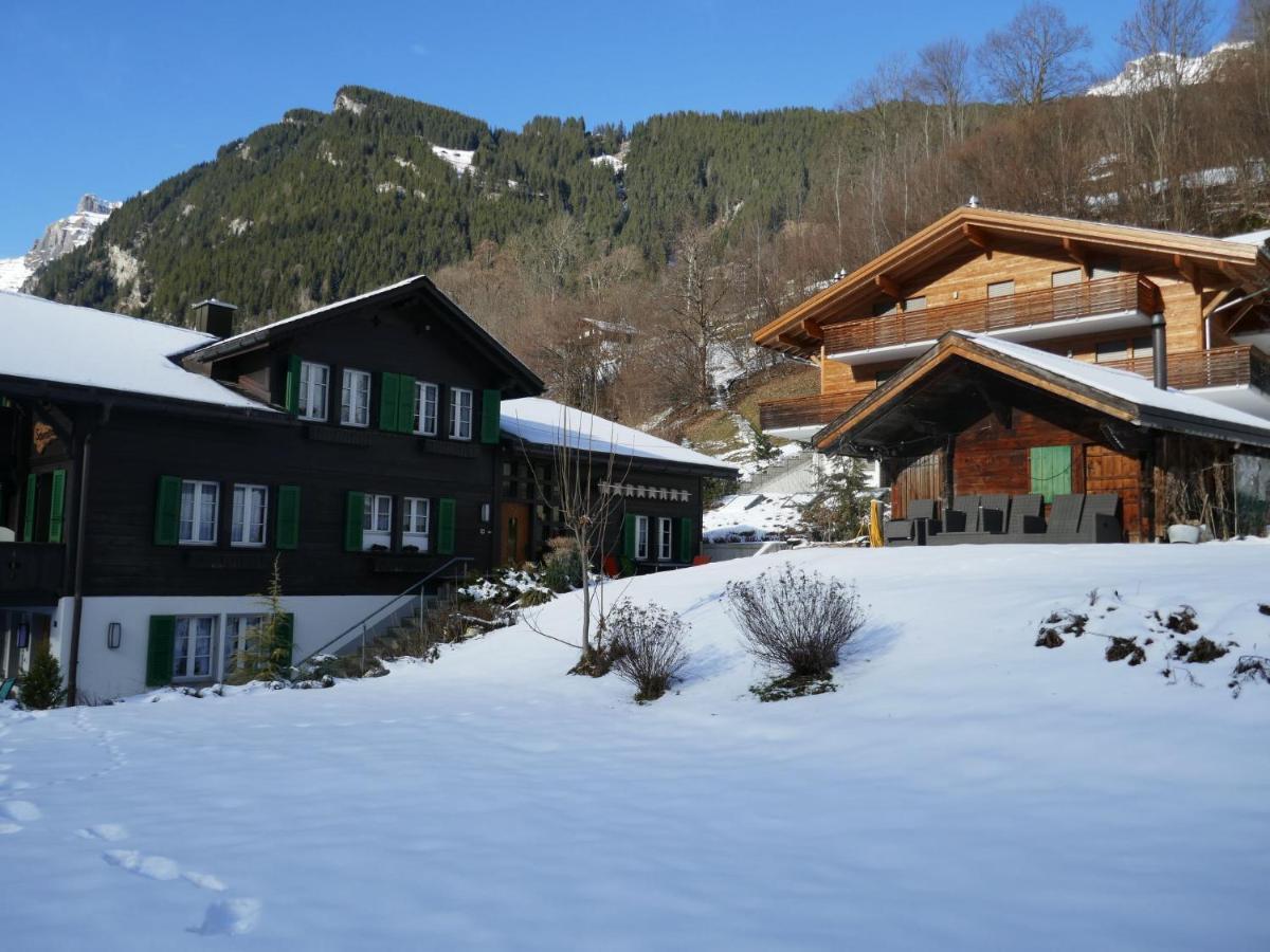 Schwendihus-6 By Interhome Apartment Grindelwald