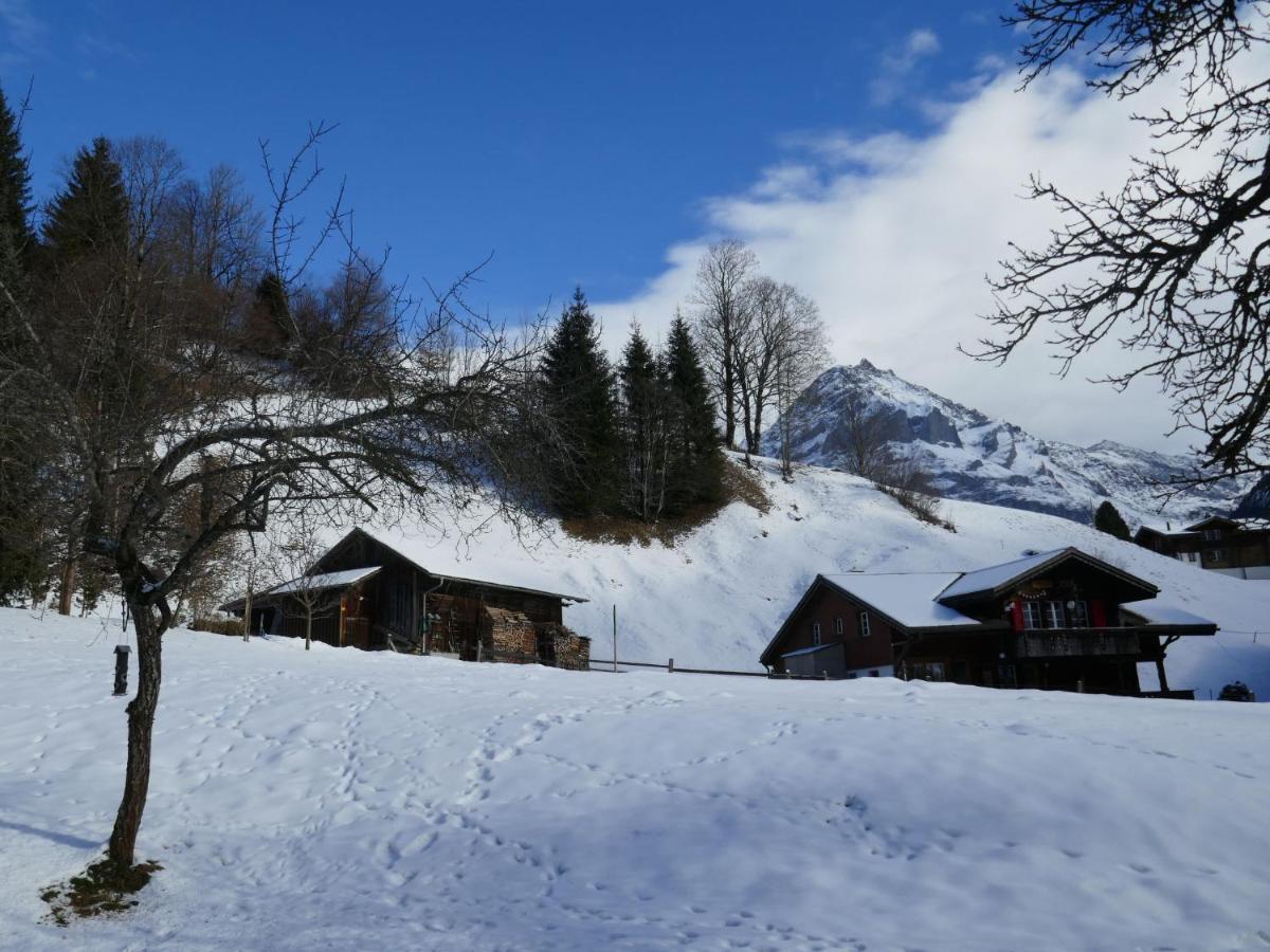 Schwendihus-6 By Interhome Apartment Grindelwald