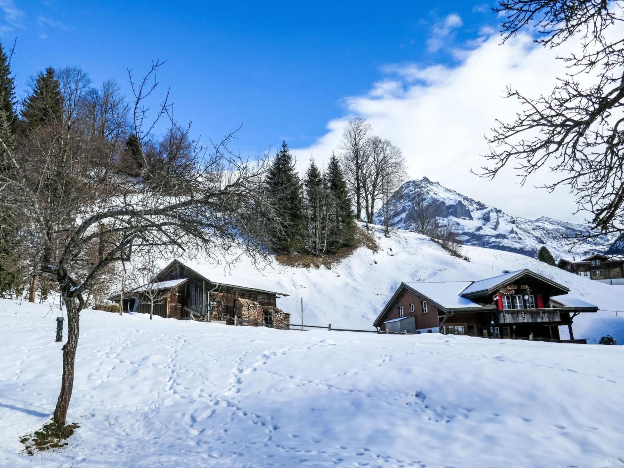Schwendihus-6 By Interhome * Grindelwald